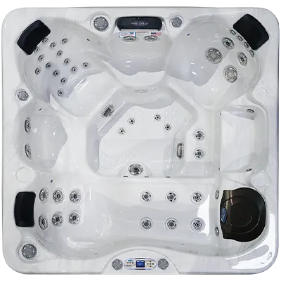 Avalon EC-849L hot tubs for sale in Novi