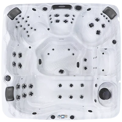 Avalon EC-867L hot tubs for sale in Novi