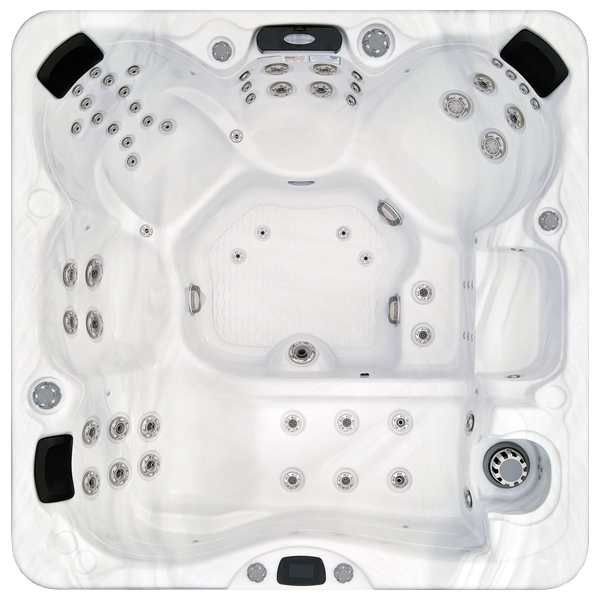 Avalon-X EC-867LX hot tubs for sale in Novi
