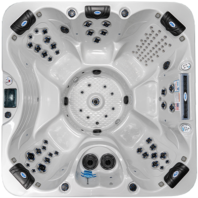 Laguna PL-793B hot tubs for sale in Novi